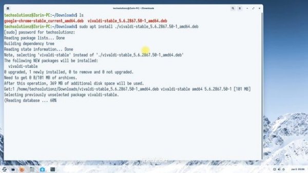✅ How to Install DEB Package Manually through apt Package Manager on Zorin OS 16.2