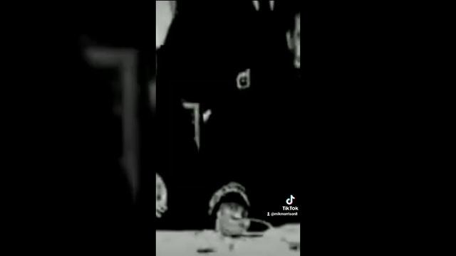 ZAPATA - Autor Nicolás Bazán смотреть онлайн