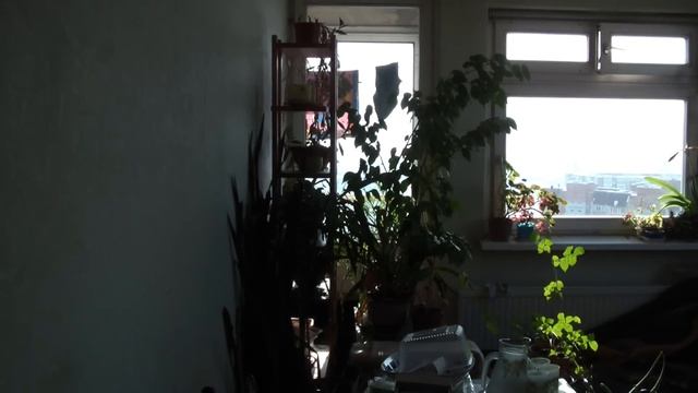 Землетрясение(26 февраля 14.20).MP4 смотреть онлайн