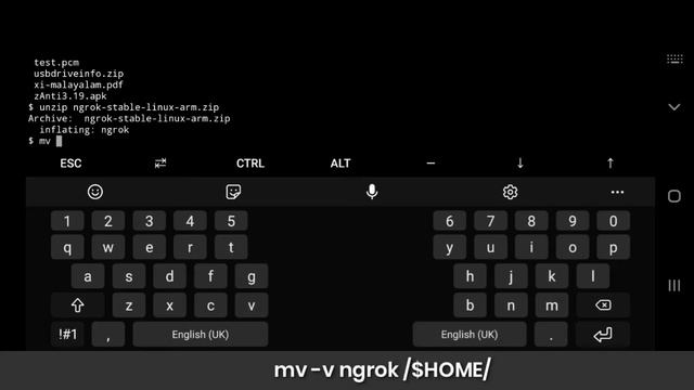 Ngrok | Installation and SETUP | termux tutorial | technography | смотреть онлайн