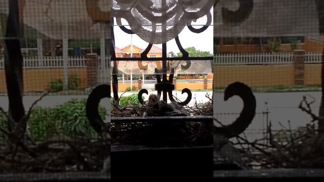 This is what I saw outside the bathroom window at смотреть онлайн