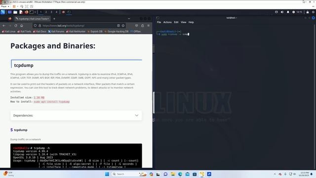 Kali Linux tcpdump how to use it basic training. смотреть онлайн