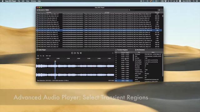 Easy REX Player 2.0 смотреть онлайн