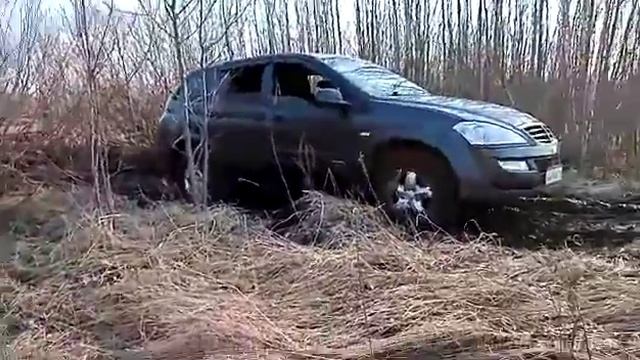 Кайрон на бездорожье.