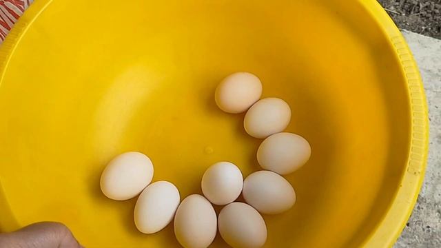 Жизнь в станице простых людей. Работа кипит. смотреть онлайн