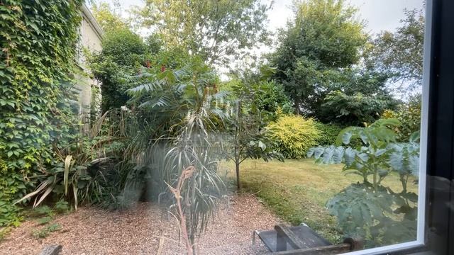 The view from my window in #Lincolnshire смотреть онлайн