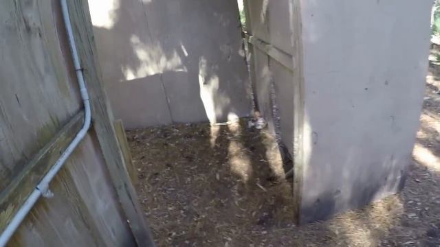 Counter Strike Airsoft - Bomb Planted смотреть онлайн