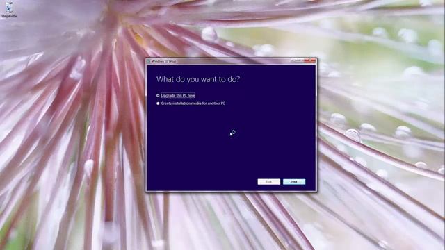 تحميل و تسطيب ويندوز 10 بالطريقة الصحيحة Windows Creation Tool смотреть онлайн