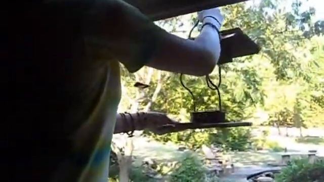 WindowBirdFeeder Installation Demo смотреть онлайн