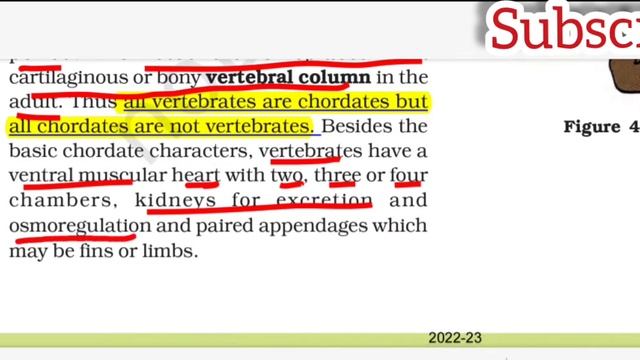 NCERT BIOLOGY CLASS 11|| ANIMAL KINGDOM PART - 2 || WITH TRICKS | NEET Crack смотреть онлайн