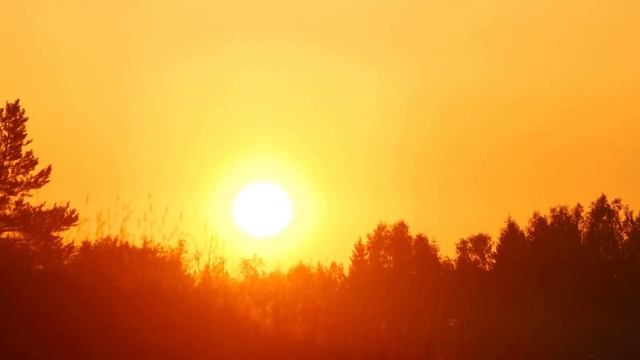 Зарисовки от Насти (часть 1) смотреть онлайн