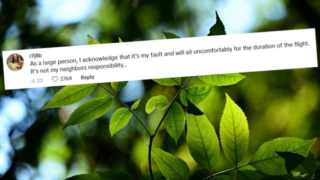 Piers Morgan vs FatFluencers - Free Seats, Glorifying Obesity смотреть онлайн