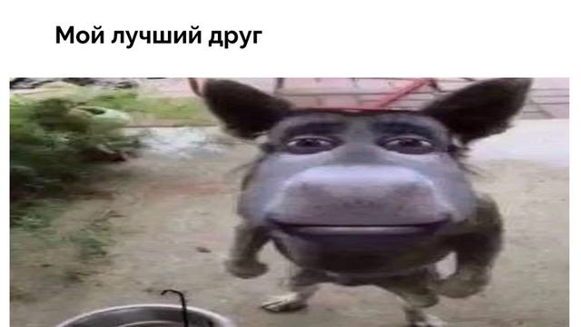 Untitled Presentation (1)