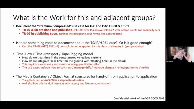 GCCG Activity Group Update at the VSF Meeting смотреть онлайн