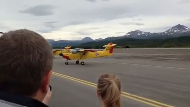 SAAB Safari is bowing for the audience смотреть онлайн