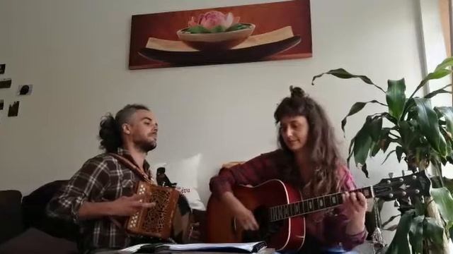 The Blackthorn Stick смотреть онлайн