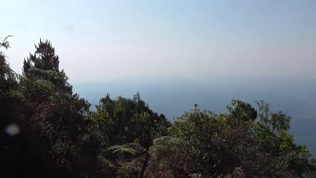 Rapport fra God´s window, Drakensbergfjellene смотреть онлайн