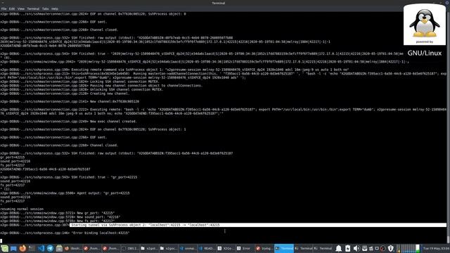 Strange SSH tunneling issue X2Goclient (sshprocess) смотреть онлайн
