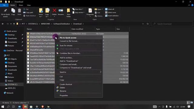 Delete Software Distribution From Windows 10 Affter Down Grade Or Update смотреть онлайн