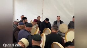 Назма -1ад хьокх пондар жирг1а 3.05.2021г.