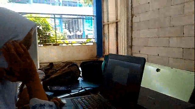 WINDOWS MEDIA смотреть онлайн