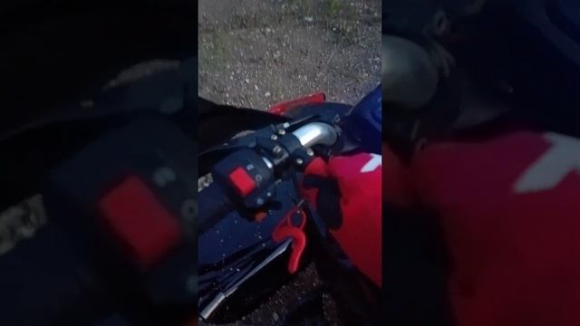 ОБЗОР КРОССОВОГО КВАДРОЦИКЛА MOTOLAND RALLY 250 И ПОКАТУШКИ смотреть онлайн