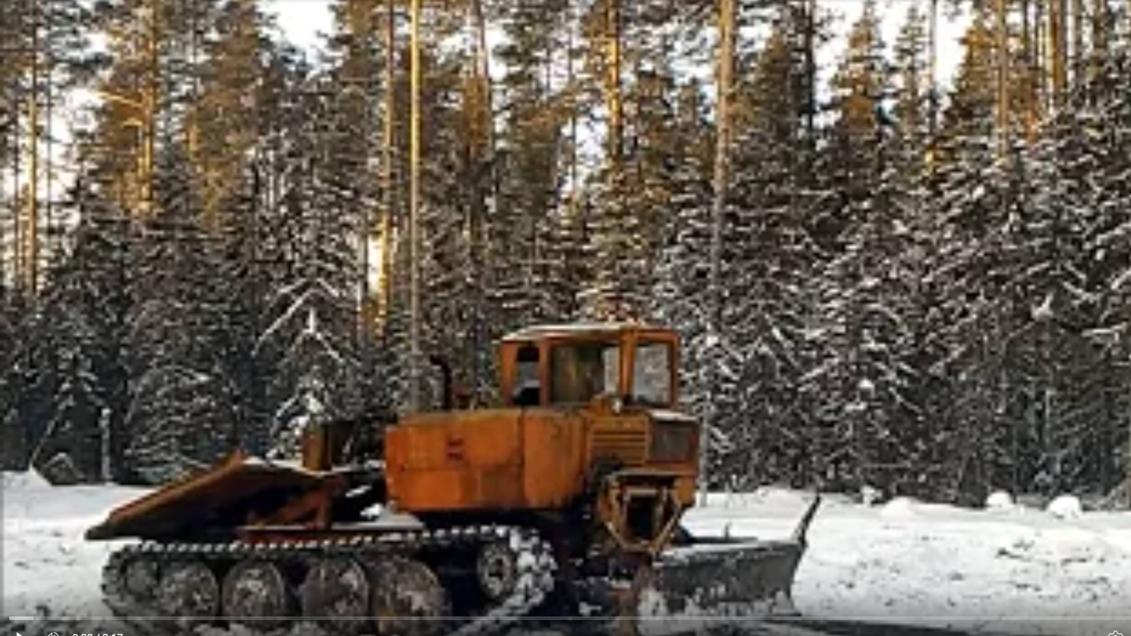 Хороший сруб рубят из лучшего леса. Где заказать сруб из качественного леса. Как мы рубим лес себе. смотреть онлайн