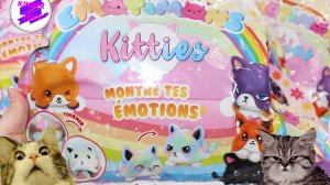 Очень "Эмоциональные котята"!! Такие разные котята: Веселый, грустный или сердитый. Игрушки-переверт