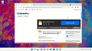 Установите .net Framework 3.5 в Windows 11