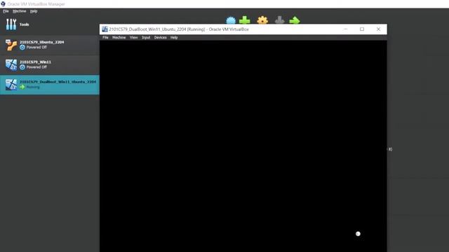 Install DualBoot Win11 Ubuntu 2204 in VirtualBox Walkthrough - 2101CS79 смотреть онлайн