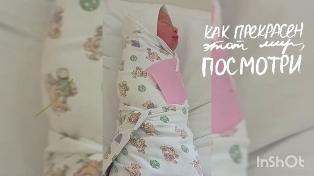 Выписка. Мишутка.