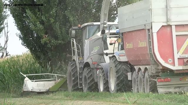 Mais Silage | Special Claas Jaguar 980 + Orbis 750 | Agrotecnica Fraron смотреть онлайн