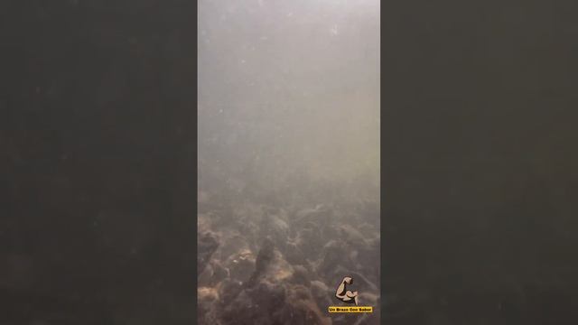 iPhone 13PRO - Prueba de RESISTENCIA al AGUA en el OCEANO: Mira lo que grabo 😱😱 смотреть онлайн