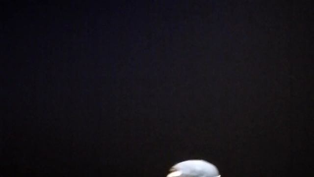 Mac Miller - Blue Slide Park Konzert! Best Day Ever смотреть онлайн