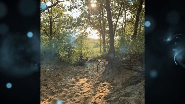 Cowles Bog Summer 2019 смотреть онлайн