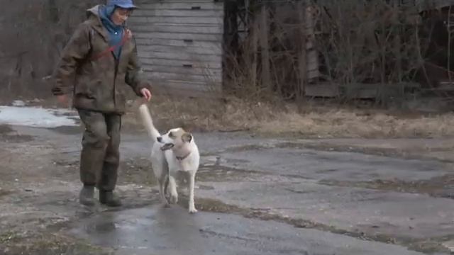 19-04-11-Марта.wmv смотреть онлайн