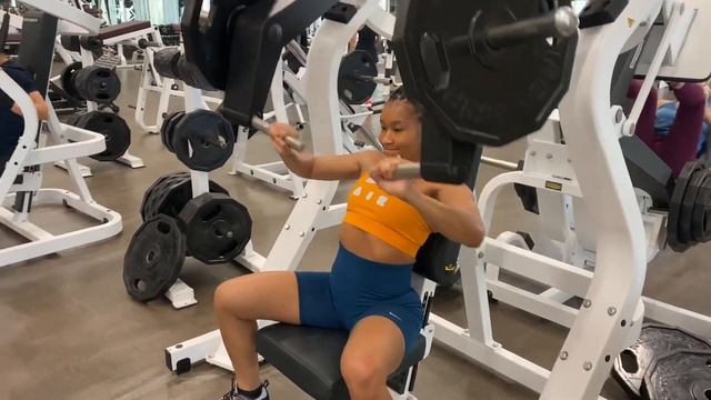 Seated Chest Press Machine смотреть онлайн