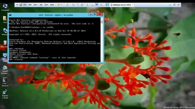 host Dedicated Server Database on Windows Server 2012 part3 смотреть онлайн