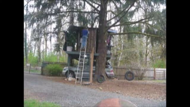 TREE HOUSE remodel : Expanding, moving door / installing window смотреть онлайн