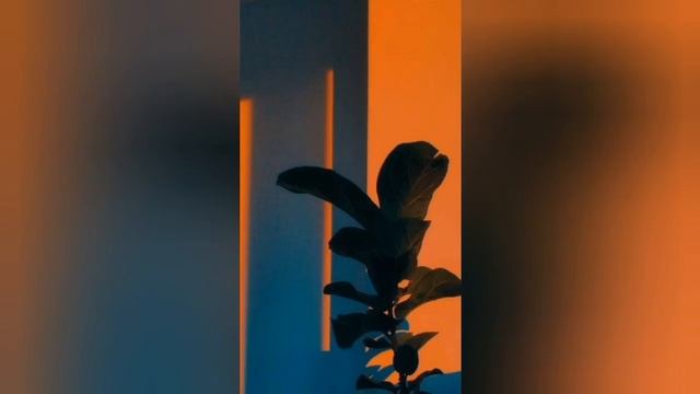 ORANGE WALLPAPER IDEAS смотреть онлайн