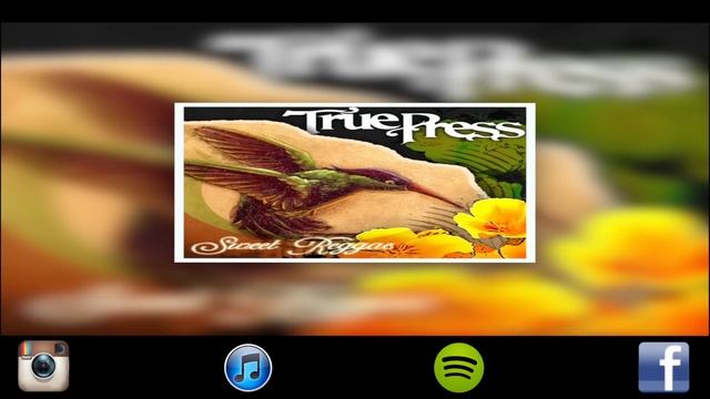 True Press - Mislead смотреть онлайн