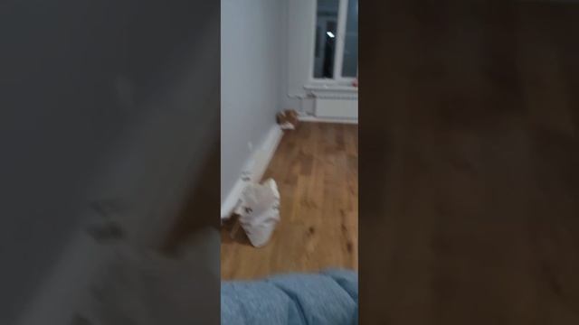 Двери с фрамугами. смотреть онлайн