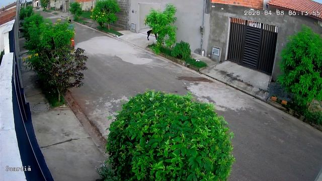 ICSSE CÂMERAS IP - XMEYE(35) смотреть онлайн