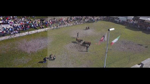 Color Correction #1 (Final Cut Pro X) - Mavic Pro 4k Footage смотреть онлайн