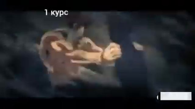 11 клас - 1 курс смотреть онлайн