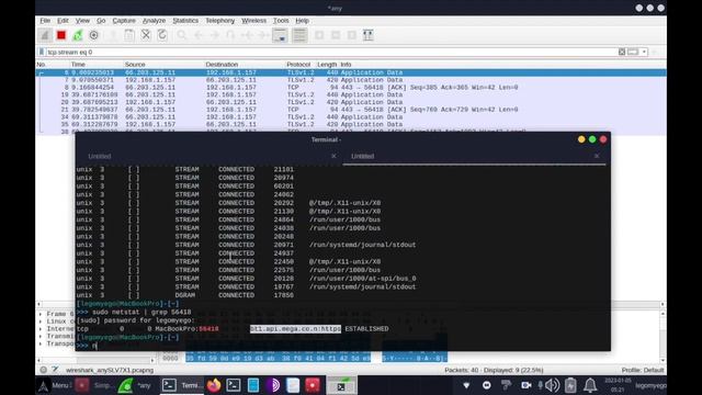 Wireshark - Packet Sniffer - BlackArch Linux #11 смотреть онлайн