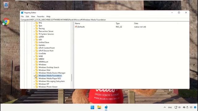 Skype webcam not working on Windows 11 - how to fix Skype camera not being recognized issue смотреть онлайн