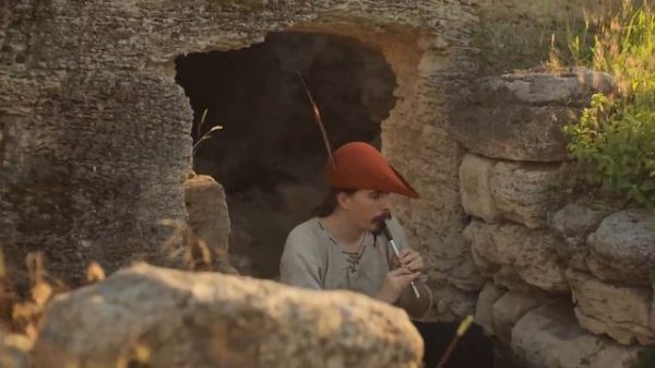 Stronghold - Under an Old Tree - Cover by Dryante