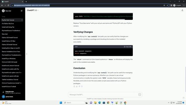 pip install bin path смотреть онлайн