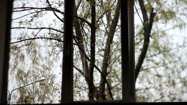 cafe, window, canon смотреть онлайн
